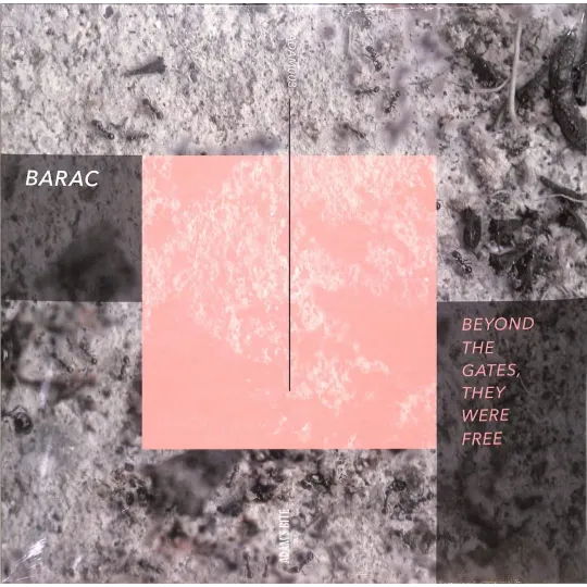 Barac – Beyond The Gates, They Were Free