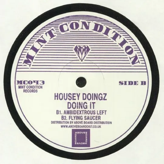 Housey Doingz ‎– Doing It