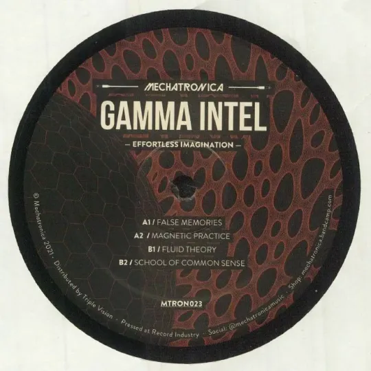 Gamma Intel – Effortless Imagination