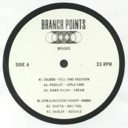 Various – Branch Points VA1