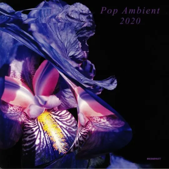 Various ‎– Pop Ambient 2020