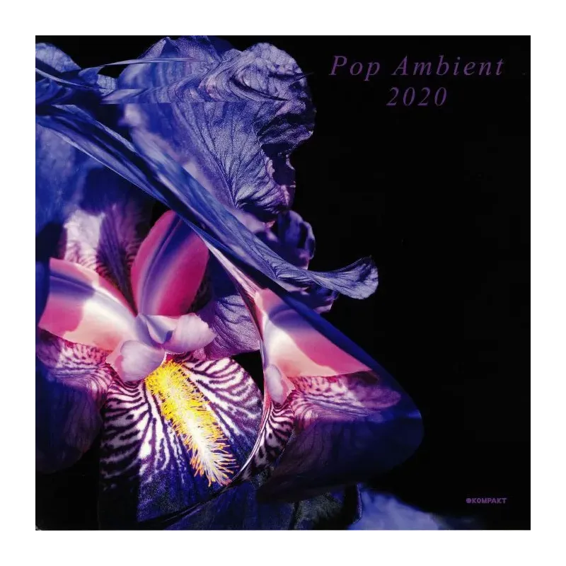 Various ‎– Pop Ambient 2020