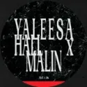 Yaleesa Hall, Malin Genie ‎– Muck EP