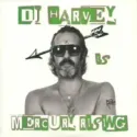 DJ Harvey ‎– The Sound Of Mercury Rising: Vol II