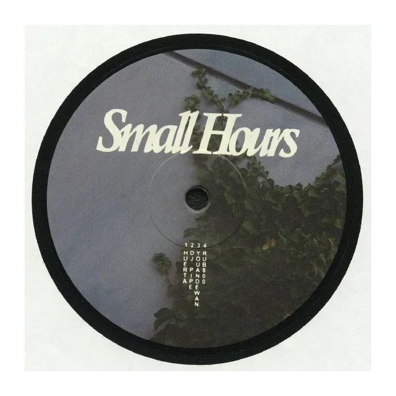 Huerta / DJ Pipe / Youandewan / Rub800 ‎– Small Hours 002