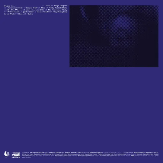 Pejzaż ‎– Blues CD