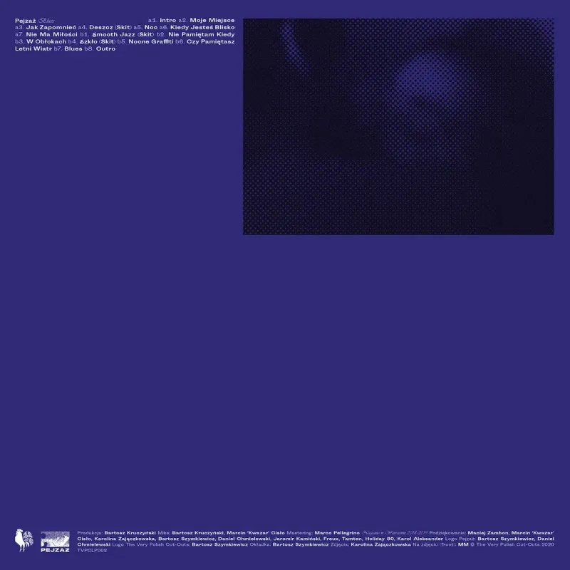 Pejzaż ‎– Blues CD