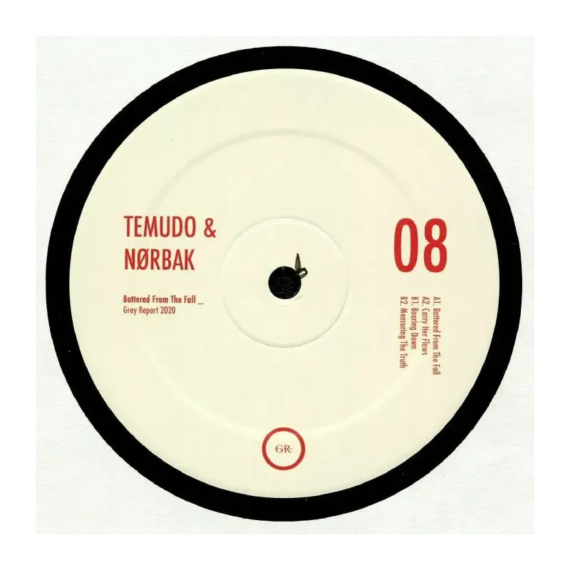 Temudo & Nørbak ‎– Battered From The Fall