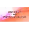Animals On Psychedelics
